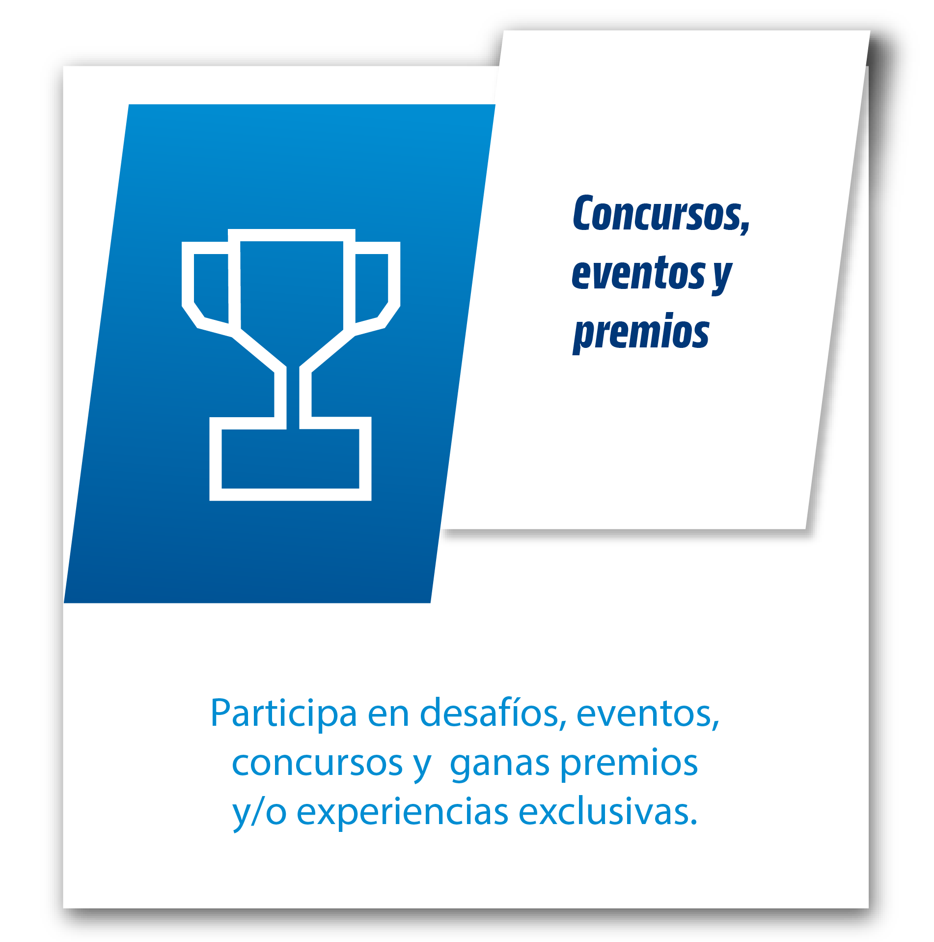 Icono 4